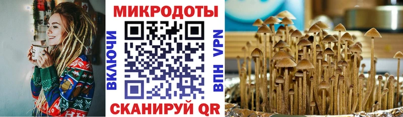Галлюциногенные грибы мухоморы  Суздаль 